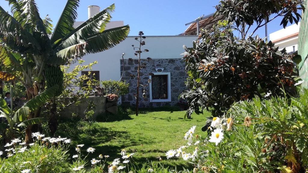 Villa Canaria Piscina Jacuzzi Jardin Santa Maria de Guia de Gran Canaria Bagian luar foto