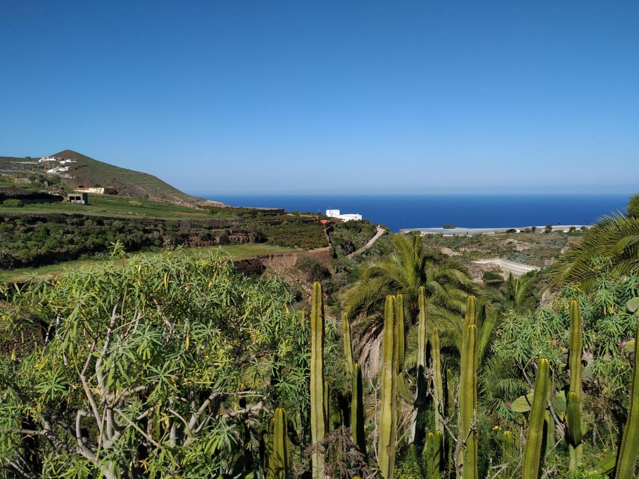 Villa Canaria Piscina Jacuzzi Jardin Santa Maria de Guia de Gran Canaria Bagian luar foto