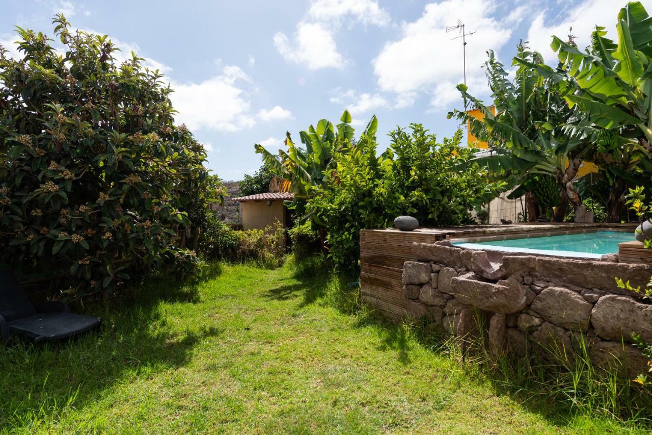 Villa Canaria Piscina Jacuzzi Jardin Santa Maria de Guia de Gran Canaria Bagian luar foto