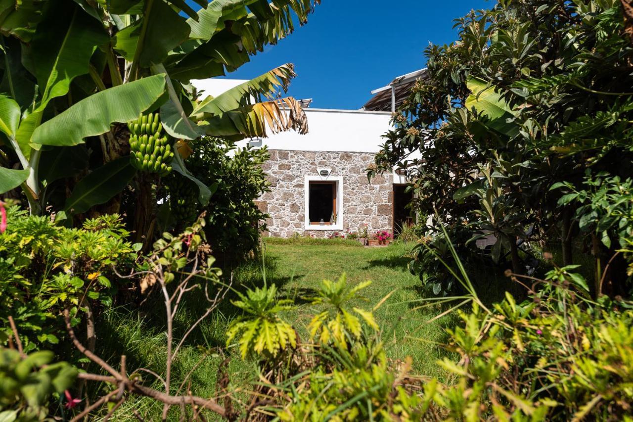 Villa Canaria Piscina Jacuzzi Jardin Santa Maria de Guia de Gran Canaria Bagian luar foto